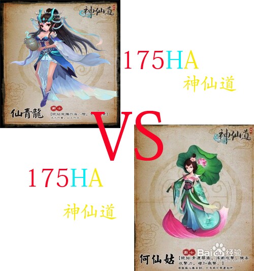 伙伴仙青龍VS何仙姑